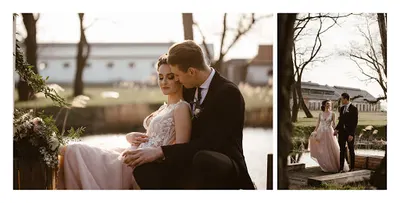 Zielona Miłość Fotografia